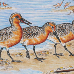 Artwork by Stephanie Przybylek