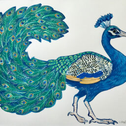 Artwork by Stephanie Przybylek