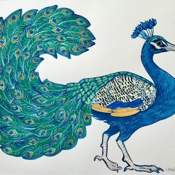 Artwork by Stephanie Przybylek