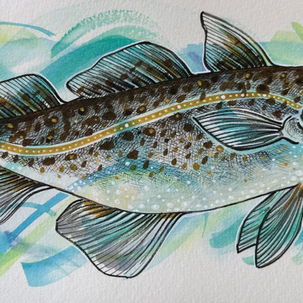 Artwork by Stephanie Przybylek