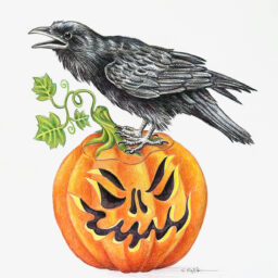 Artwork by Stephanie Przybylek