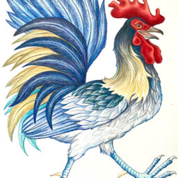 Artwork by Stephanie Przybylek