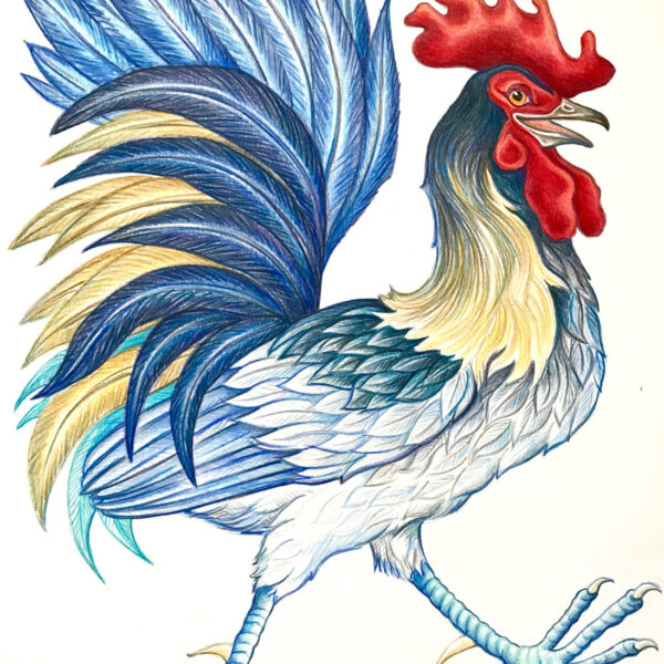 Artwork by Stephanie Przybylek