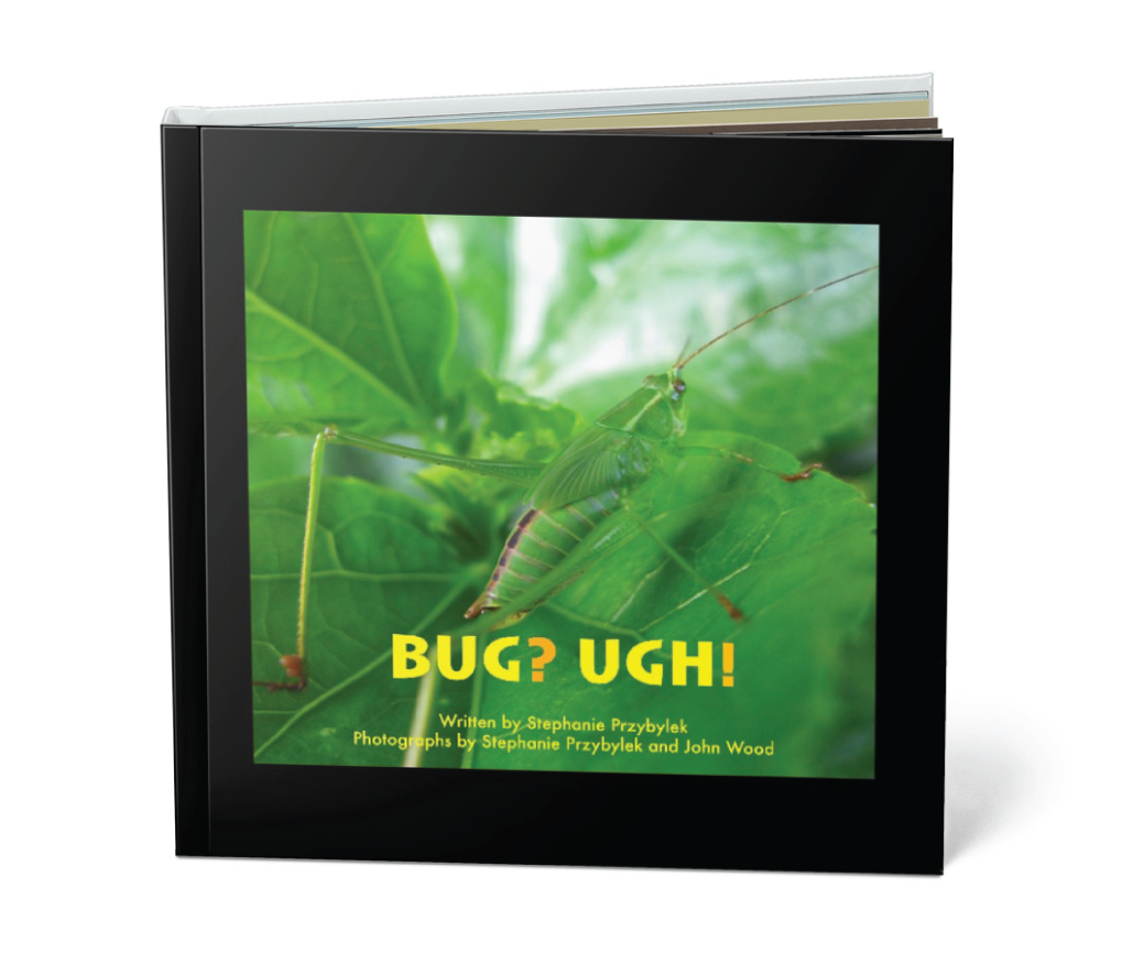 Children's Book by Stephanie Przybylek