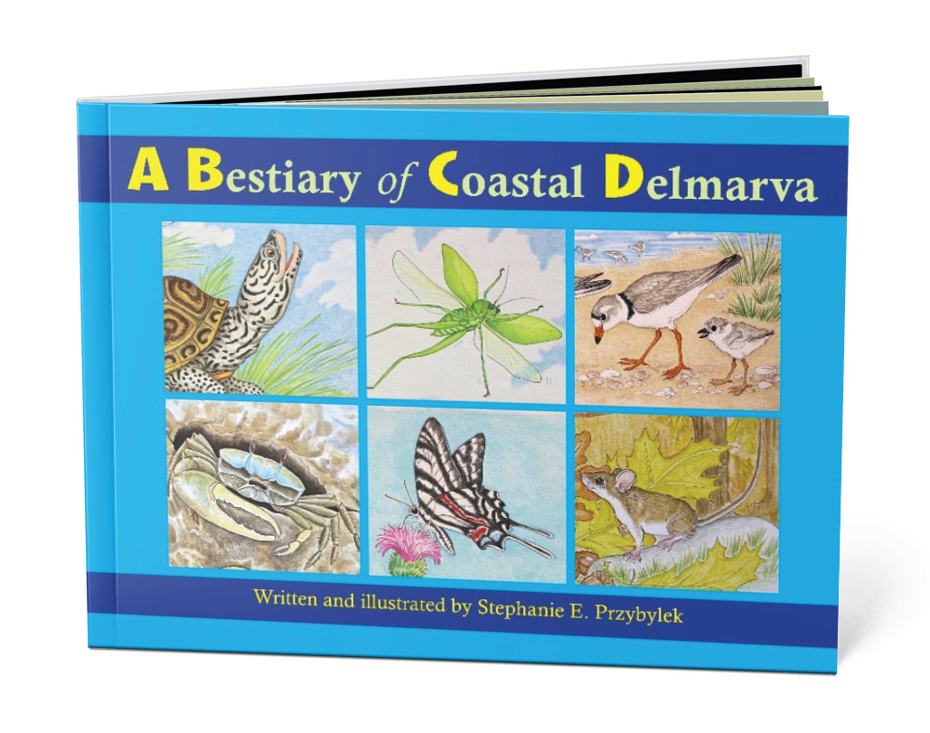 Children's Book by Stephanie Przybylek