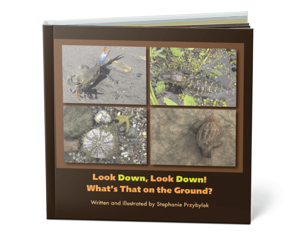 Children's Book by Stephanie Przybylek